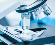 Образование